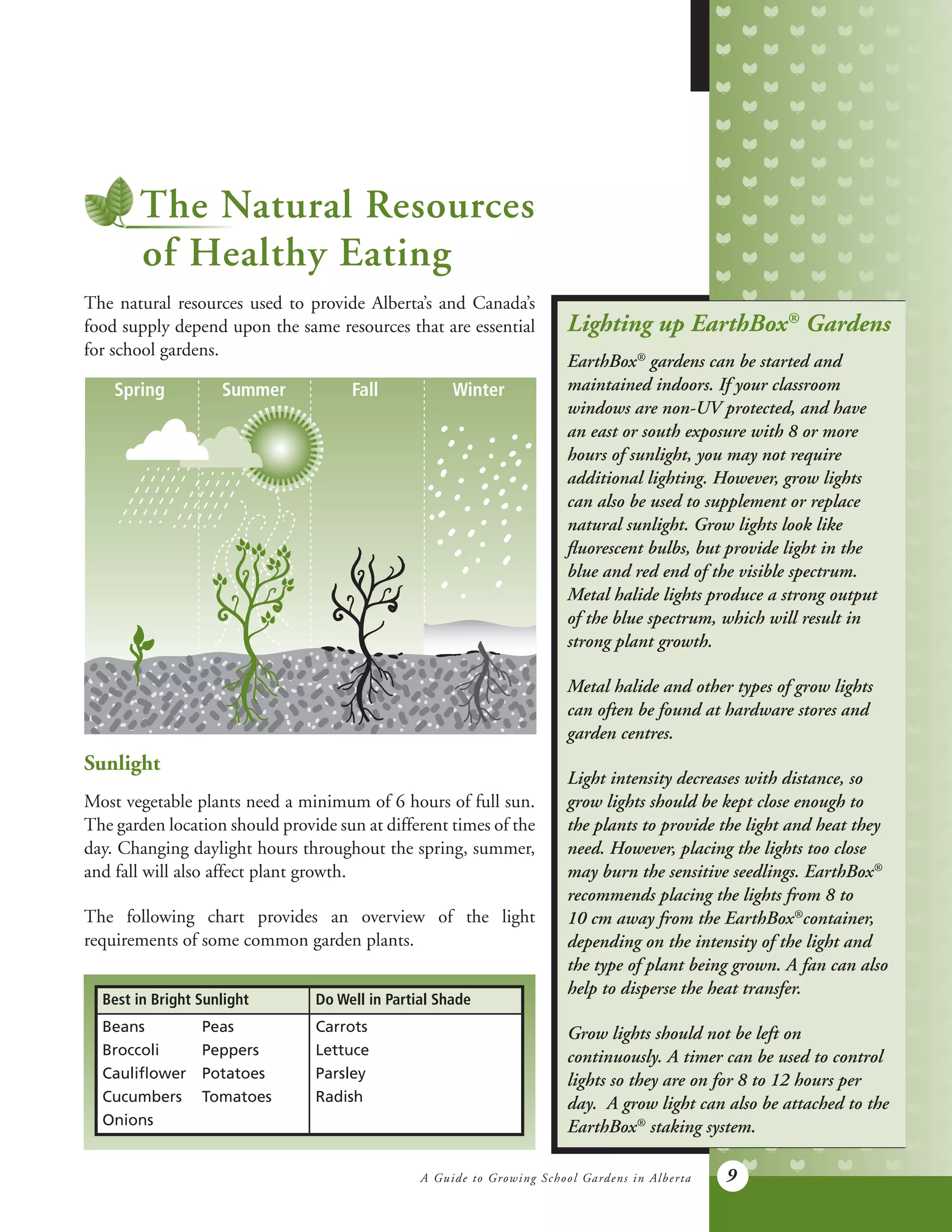 A Guide to Growing School Gardens in Alberta 9
The natural resources used to provide Alberta’s and Canada’s
food supply depend upon the same resources that are essential
for school gardens.
Best in Bright Sunlight Do Well in Partial Shade
Beans 		 Peas
Broccoli 		 Peppers
Cauliflower 	 Potatoes
Cucumbers	Tomatoes
Onions
Carrots
Lettuce
Parsley
Radish
Sunlight
Most vegetable plants need a minimum of 6 hours of full sun.
The garden location should provide sun at different times of the
day. Changing daylight hours throughout the spring, summer,
and fall will also affect plant growth.
The following chart provides an overview of the light
requirements of some common garden plants.
Lighting up EarthBox®
Gardens
EarthBox®
gardens can be started and
maintained indoors. If your classroom
windows are non-UV protected, and have
an east or south exposure with 8 or more
hours of sunlight, you may not require
additional lighting. However, grow lights
can also be used to supplement or replace
natural sunlight. Grow lights look like
fluorescent bulbs, but provide light in the
blue and red end of the visible spectrum.
Metal halide lights produce a strong output
of the blue spectrum, which will result in
strong plant growth.
Metal halide and other types of grow lights
can often be found at hardware stores and
garden centres.
Light intensity decreases with distance, so
grow lights should be kept close enough to
the plants to provide the light and heat they
need. However, placing the lights too close
may burn the sensitive seedlings. EarthBox®
recommends placing the lights from 8 to
10 cm away from the EarthBox®
container,
depending on the intensity of the light and
the type of plant being grown. A fan can also
help to disperse the heat transfer.
Grow lights should not be left on
continuously. A timer can be used to control
lights so they are on for 8 to 12 hours per
day. A grow light can also be attached to the
EarthBox®
staking system.
The Natural Resources
of Healthy Eating
Spring Summer Fall Winter
 