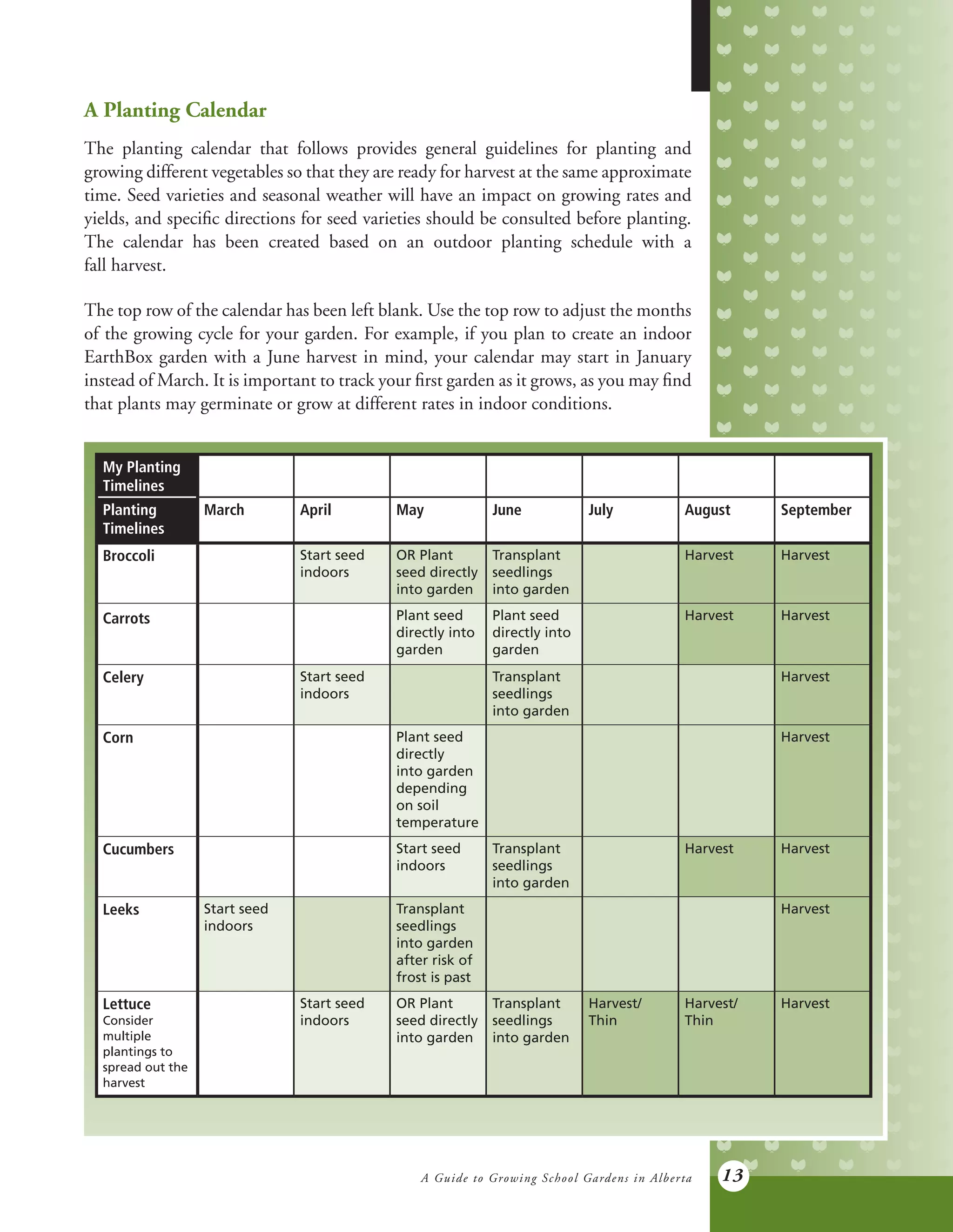 A Guide to Growing School Gardens in Alberta 13
My Planting
Timelines
Planting
Timelines
March April May June July August September
Broccoli Start seed
indoors
OR Plant
seed directly
into garden
Transplant
seedlings
into garden
Harvest Harvest
Carrots Plant seed
directly into
garden
Plant seed
directly into
garden
Harvest Harvest
Celery Start seed
indoors
Transplant
seedlings
into garden
Harvest
Corn Plant seed
directly
into garden
depending
on soil
temperature
Harvest
Cucumbers Start seed
indoors
Transplant
seedlings
into garden
Harvest Harvest
Leeks Start seed
indoors
Transplant
seedlings
into garden
after risk of
frost is past
Harvest
Lettuce
Consider
multiple
plantings to
spread out the
harvest
Start seed
indoors
OR Plant
seed directly
into garden
Transplant
seedlings
into garden
Harvest/
Thin
Harvest/
Thin
Harvest
A Planting Calendar
The planting calendar that follows provides general guidelines for planting and
growing different vegetables so that they are ready for harvest at the same approximate
time. Seed varieties and seasonal weather will have an impact on growing rates and
yields, and specific directions for seed varieties should be consulted before planting.
The calendar has been created based on an outdoor planting schedule with a
fall harvest.
The top row of the calendar has been left blank. Use the top row to adjust the months
of the growing cycle for your garden. For example, if you plan to create an indoor
EarthBox garden with a June harvest in mind, your calendar may start in January
instead of March. It is important to track your first garden as it grows, as you may find
that plants may germinate or grow at different rates in indoor conditions.
 