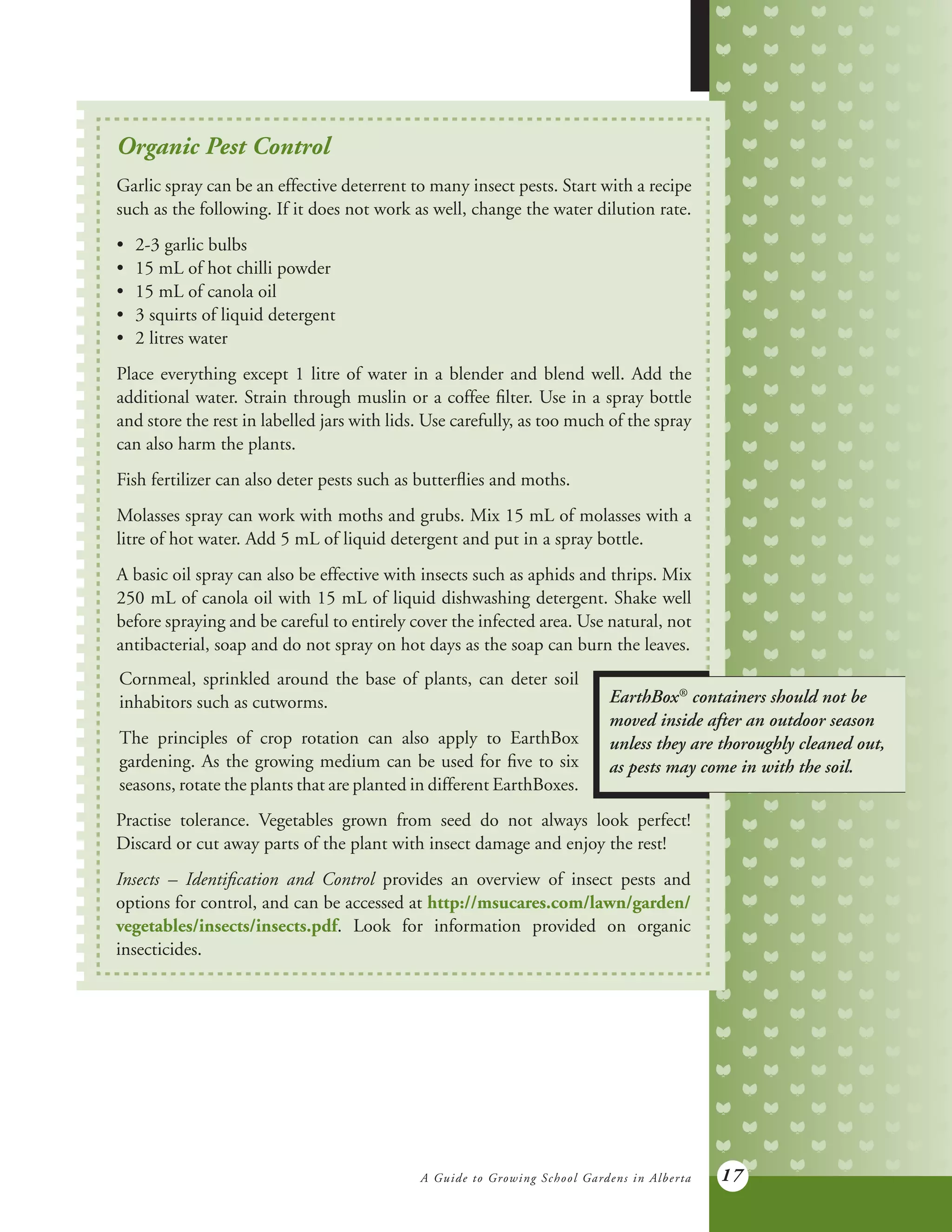 A Guide to Growing School Gardens in Alberta 17
Organic Pest Control
Garlic spray can be an effective deterrent to many insect pests. Start with a recipe
such as the following. If it does not work as well, change the water dilution rate.
•	 2-3 garlic bulbs
•	 15 mL of hot chilli powder
•	 15 mL of canola oil
•	 3 squirts of liquid detergent
•	 2 litres water
Place everything except 1 litre of water in a blender and blend well. Add the
additional water. Strain through muslin or a coffee filter. Use in a spray bottle
and store the rest in labelled jars with lids. Use carefully, as too much of the spray
can also harm the plants.
Fish fertilizer can also deter pests such as butterflies and moths.
Molasses spray can work with moths and grubs. Mix 15 mL of molasses with a
litre of hot water. Add 5 mL of liquid detergent and put in a spray bottle.
A basic oil spray can also be effective with insects such as aphids and thrips. Mix
250 mL of canola oil with 15 mL of liquid dishwashing detergent. Shake well
before spraying and be careful to entirely cover the infected area. Use natural, not
antibacterial, soap and do not spray on hot days as the soap can burn the leaves.
EarthBox®
containers should not be
moved inside after an outdoor season
unless they are thoroughly cleaned out,
as pests may come in with the soil.
Cornmeal, sprinkled around the base of plants, can deter soil
inhabitors such as cutworms.
The principles of crop rotation can also apply to EarthBox
gardening. As the growing medium can be used for five to six
seasons, rotate the plants that are planted in different EarthBoxes.
Practise tolerance. Vegetables grown from seed do not always look perfect!
Discard or cut away parts of the plant with insect damage and enjoy the rest!
Insects – Identification and Control provides an overview of insect pests and
options for control, and can be accessed at http://msucares.com/lawn/garden/
vegetables/insects/insects.pdf. Look for information provided on organic
insecticides.
 