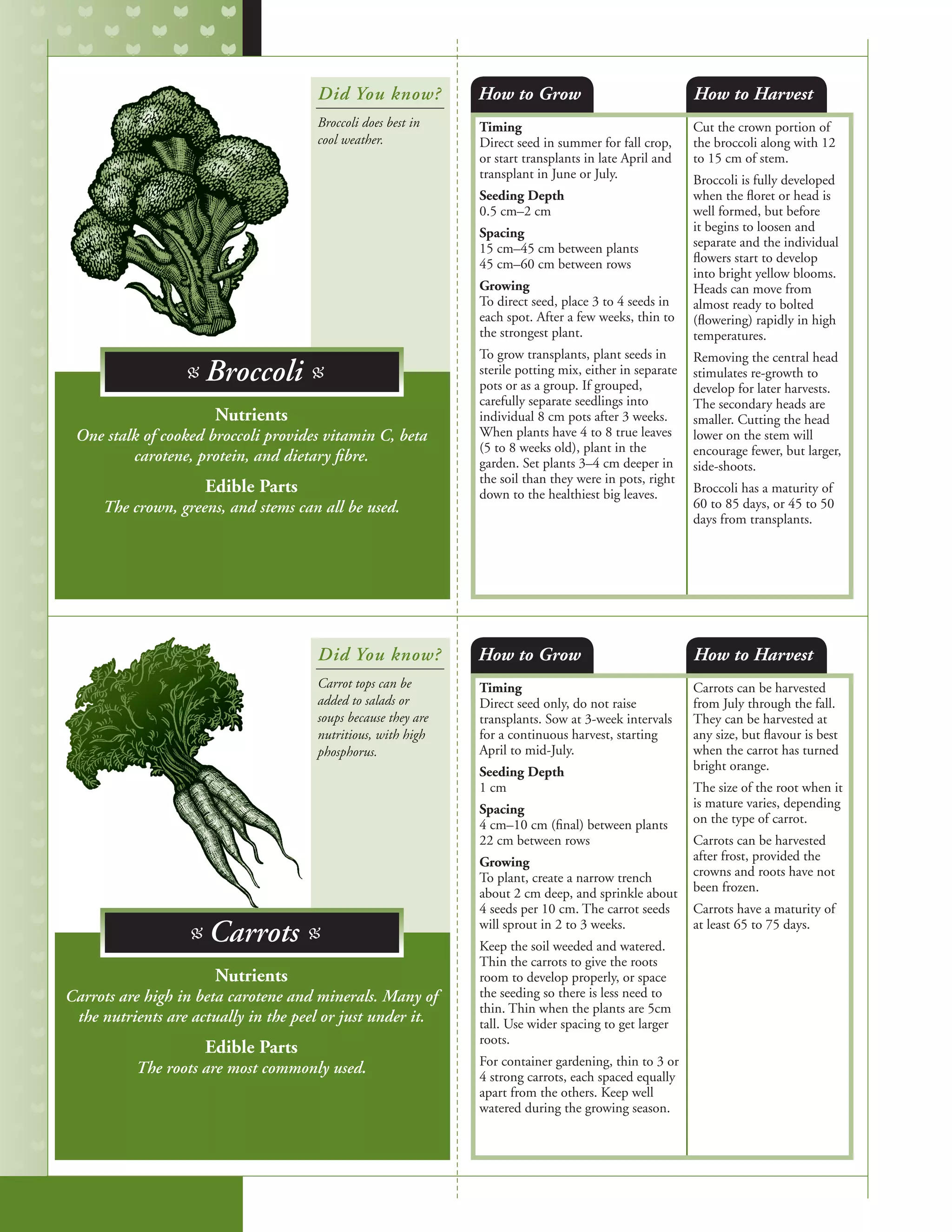Timing
Direct seed in summer for fall crop,
or start transplants in late April and
transplant in June or July.
Seeding Depth
0.5 cm–2 cm
Spacing
15 cm–45 cm between plants
45 cm–60 cm between rows
Growing
To direct seed, place 3 to 4 seeds in
each spot. After a few weeks, thin to
the strongest plant.
To grow transplants, plant seeds in
sterile potting mix, either in separate
pots or as a group. If grouped,
carefully separate seedlings into
individual 8 cm pots after 3 weeks.
When plants have 4 to 8 true leaves
(5 to 8 weeks old), plant in the
garden. Set plants 3–4 cm deeper in
the soil than they were in pots, right
down to the healthiest big leaves.
Cut the crown portion of
the broccoli along with 12
to 15 cm of stem.
Broccoli is fully developed
when the floret or head is
well formed, but before
it begins to loosen and
separate and the individual
flowers start to develop
into bright yellow blooms.
Heads can move from
almost ready to bolted
(flowering) rapidly in high
temperatures.
Removing the central head
stimulates re-growth to
develop for later harvests.
The secondary heads are
smaller. Cutting the head
lower on the stem will
encourage fewer, but larger,
side-shoots.
Broccoli has a maturity of
60 to 85 days, or 45 to 50
days from transplants.
Timing
Direct seed only, do not raise
transplants. Sow at 3-week intervals
for a continuous harvest, starting
April to mid-July.
Seeding Depth
1 cm
Spacing
4 cm–10 cm (final) between plants
22 cm between rows
Growing
To plant, create a narrow trench
about 2 cm deep, and sprinkle about
4 seeds per 10 cm. The carrot seeds
will sprout in 2 to 3 weeks.
Keep the soil weeded and watered.
Thin the carrots to give the roots
room to develop properly, or space
the seeding so there is less need to
thin. Thin when the plants are 5cm
tall. Use wider spacing to get larger
roots.
For container gardening, thin to 3 or
4 strong carrots, each spaced equally
apart from the others. Keep well
watered during the growing season.
Carrots can be harvested
from July through the fall.
They can be harvested at
any size, but flavour is best
when the carrot has turned
bright orange.
The size of the root when it
is mature varies, depending
on the type of carrot.
Carrots can be harvested
after frost, provided the
crowns and roots have not
been frozen.
Carrots have a maturity of
at least 65 to 75 days.
How to Grow
How to Grow
How to Harvest
How to Harvest
Nutrients
One stalk of cooked broccoli provides vitamin C, beta
carotene, protein, and dietary fibre.
Edible Parts
The crown, greens, and stems can all be used.
Nutrients
Carrots are high in beta carotene and minerals. Many of
the nutrients are actually in the peel or just under it.
Edible Parts
The roots are most commonly used.
Did You know?
Did You know?
Broccoli does best in
cool weather.
Carrot tops can be
added to salads or
soups because they are
nutritious, with high
phosphorus.
B Broccoli B
B Carrots B
 