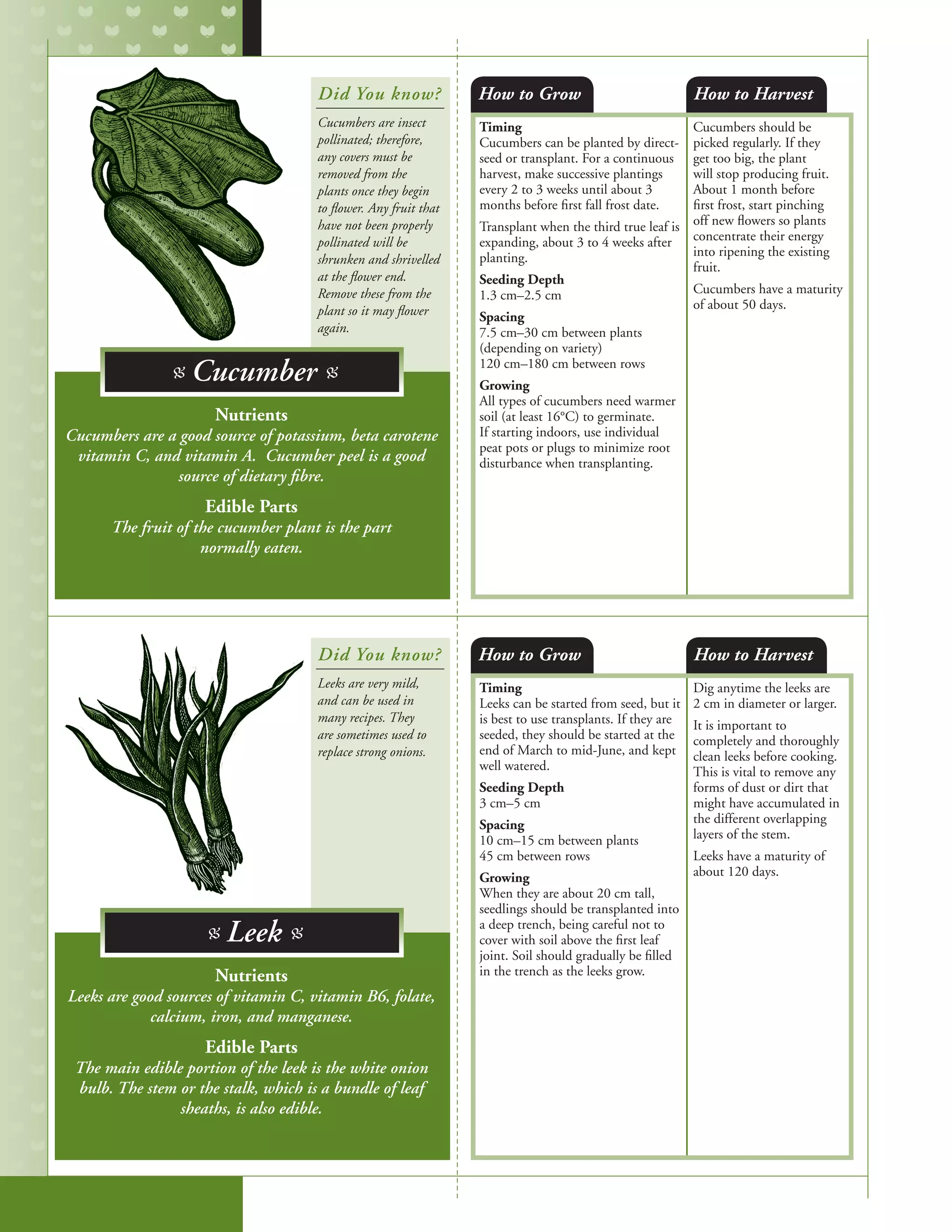 Timing
Cucumbers can be planted by direct-
seed or transplant. For a continuous
harvest, make successive plantings
every 2 to 3 weeks until about 3
months before first fall frost date.
Transplant when the third true leaf is
expanding, about 3 to 4 weeks after
planting. 	
Seeding Depth
1.3 cm–2.5 cm
Spacing
7.5 cm–30 cm between plants
(depending on variety)
120 cm–180 cm between rows
Growing
All types of cucumbers need warmer
soil (at least 16°C) to germinate.
If starting indoors, use individual
peat pots or plugs to minimize root
disturbance when transplanting.
Cucumbers should be
picked regularly. If they
get too big, the plant
will stop producing fruit.
About 1 month before
first frost, start pinching
off new flowers so plants
concentrate their energy
into ripening the existing
fruit.
Cucumbers have a maturity
of about 50 days.
Timing
Leeks can be started from seed, but it
is best to use transplants. If they are
seeded, they should be started at the
end of March to mid-June, and kept
well watered.
Seeding Depth
3 cm–5 cm
Spacing
10 cm–15 cm between plants
45 cm between rows
Growing
When they are about 20 cm tall,
seedlings should be transplanted into
a deep trench, being careful not to
cover with soil above the first leaf
joint. Soil should gradually be filled
in the trench as the leeks grow.
Dig anytime the leeks are
2 cm in diameter or larger.
It is important to
completely and thoroughly
clean leeks before cooking.
This is vital to remove any
forms of dust or dirt that
might have accumulated in
the different overlapping
layers of the stem.
Leeks have a maturity of
about 120 days.
How to Grow
How to Grow
How to Harvest
How to Harvest
Nutrients
Cucumbers are a good source of potassium, beta carotene
vitamin C, and vitamin A. Cucumber peel is a good
source of dietary fibre.
Edible Parts
The fruit of the cucumber plant is the part
normally eaten.
Nutrients
Leeks are good sources of vitamin C, vitamin B6, folate,
calcium, iron, and manganese.
Edible Parts
The main edible portion of the leek is the white onion
bulb. The stem or the stalk, which is a bundle of leaf
sheaths, is also edible.
Did You know?
Did You know?
Cucumbers are insect
pollinated; therefore,
any covers must be
removed from the
plants once they begin
to flower. Any fruit that
have not been properly
pollinated will be
shrunken and shrivelled
at the flower end.
Remove these from the
plant so it may flower
again.
Leeks are very mild,
and can be used in
many recipes. They
are sometimes used to
replace strong onions.	
B Cucumber B
B Leek B
 
