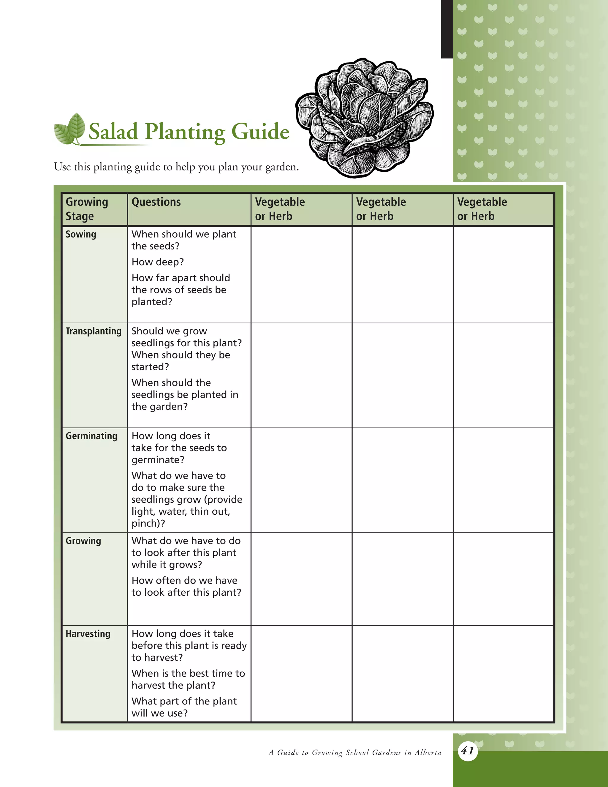 A Guide to Growing School Gardens in Alberta 41
Salad Planting Guide
Use this planting guide to help you plan your garden.
Growing
Stage
Questions Vegetable
or Herb
Vegetable
or Herb
Vegetable
or Herb
Sowing When should we plant
the seeds?
How deep?
How far apart should
the rows of seeds be
planted?
Transplanting Should we grow
seedlings for this plant?
When should they be
started?
When should the
seedlings be planted in
the garden?
Germinating How long does it
take for the seeds to
germinate?
What do we have to
do to make sure the
seedlings grow (provide
light, water, thin out,
pinch)?
Growing What do we have to do
to look after this plant
while it grows?
How often do we have
to look after this plant?
Harvesting How long does it take
before this plant is ready
to harvest?
When is the best time to
harvest the plant?
What part of the plant
will we use?
 