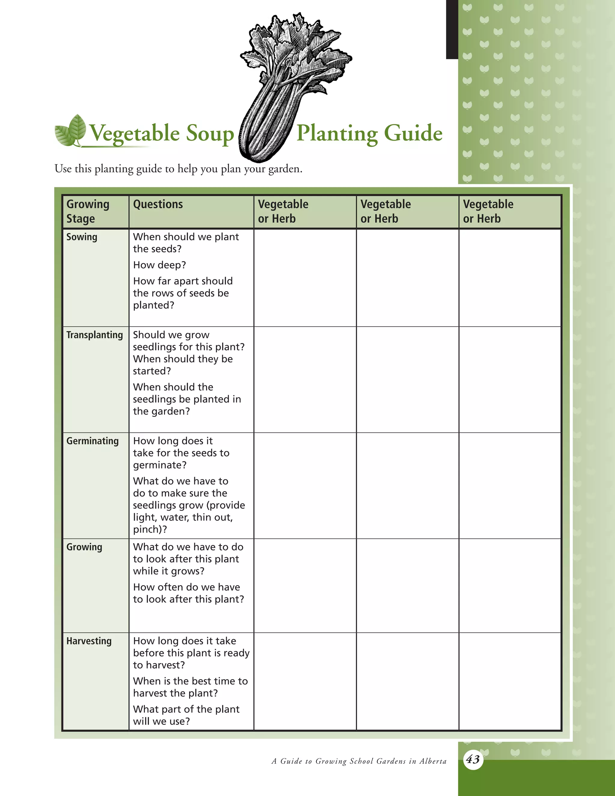 A Guide to Growing School Gardens in Alberta 43
Vegetable Soup Planting Guide
Use this planting guide to help you plan your garden.
Growing
Stage
Questions Vegetable
or Herb
Vegetable
or Herb
Vegetable
or Herb
Sowing When should we plant
the seeds?
How deep?
How far apart should
the rows of seeds be
planted?
Transplanting Should we grow
seedlings for this plant?
When should they be
started?
When should the
seedlings be planted in
the garden?
Germinating How long does it
take for the seeds to
germinate?
What do we have to
do to make sure the
seedlings grow (provide
light, water, thin out,
pinch)?
Growing What do we have to do
to look after this plant
while it grows?
How often do we have
to look after this plant?
Harvesting How long does it take
before this plant is ready
to harvest?
When is the best time to
harvest the plant?
What part of the plant
will we use?
 