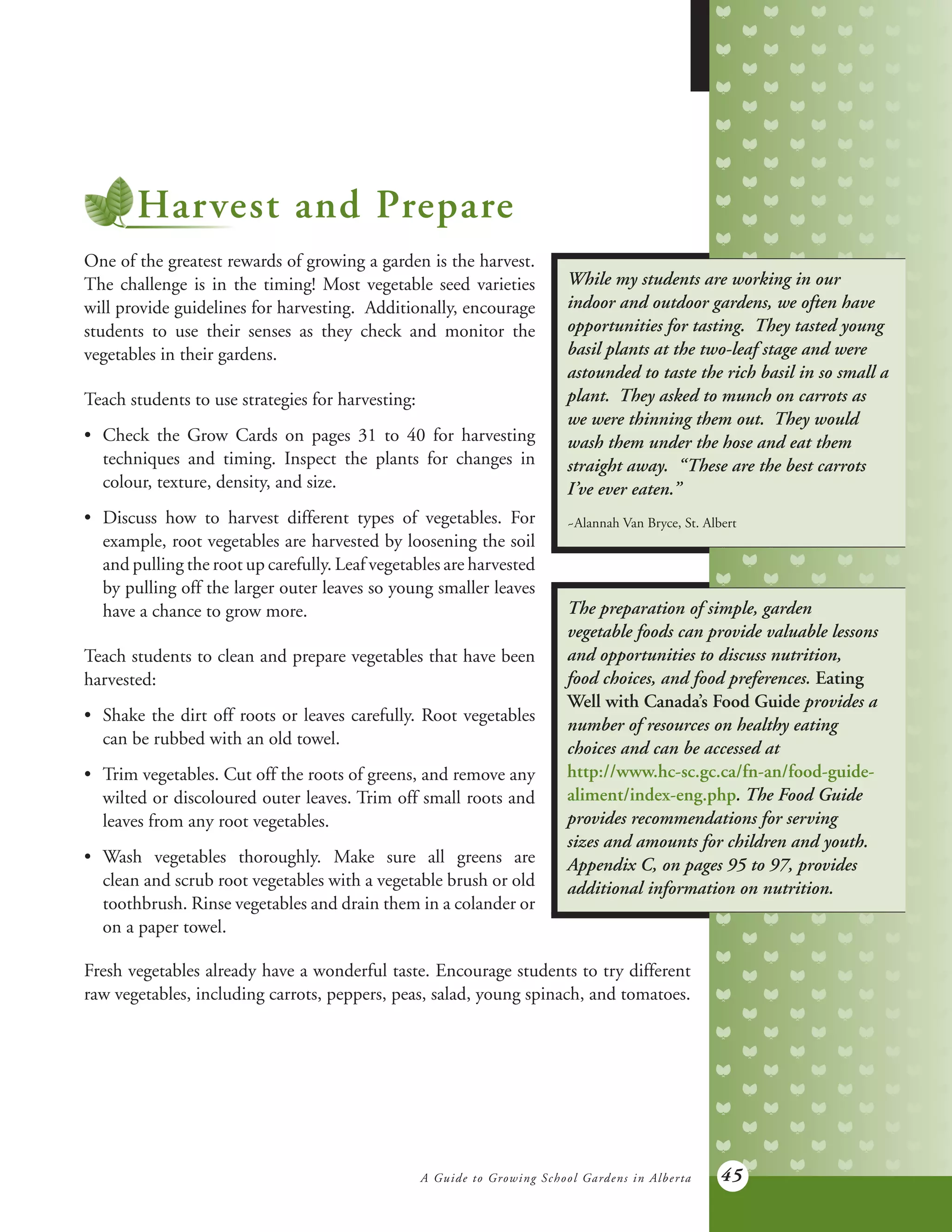 A Guide to Growing School Gardens in Alberta 45
Harvest and Prepare
One of the greatest rewards of growing a garden is the harvest.
The challenge is in the timing! Most vegetable seed varieties
will provide guidelines for harvesting. Additionally, encourage
students to use their senses as they check and monitor the
vegetables in their gardens.
Teach students to use strategies for harvesting:
•	 Check the Grow Cards on pages 31 to 40 for harvesting
	 techniques and timing. Inspect the plants for changes in
	 colour, texture, density, and size.
•	 Discuss how to harvest different types of vegetables. For
	 example, root vegetables are harvested by loosening the soil
	 and pulling the root up carefully. Leaf vegetables are harvested
	 by pulling off the larger outer leaves so young smaller leaves
	 have a chance to grow more.
Teach students to clean and prepare vegetables that have been
harvested:
•	 Shake the dirt off roots or leaves carefully. Root vegetables
	 can be rubbed with an old towel.
•	 Trim vegetables. Cut off the roots of greens, and remove any
	 wilted or discoloured outer leaves. Trim off small roots and
	 leaves from any root vegetables.
•	 Wash vegetables thoroughly. Make sure all greens are
	 clean and scrub root vegetables with a vegetable brush or old
	 toothbrush. Rinse vegetables and drain them in a colander or
	 on a paper towel.
While my students are working in our
indoor and outdoor gardens, we often have
opportunities for tasting. They tasted young
basil plants at the two-leaf stage and were
astounded to taste the rich basil in so small a
plant. They asked to munch on carrots as
we were thinning them out. They would
wash them under the hose and eat them
straight away. “These are the best carrots
I’ve ever eaten.”
~Alannah Van Bryce, St. Albert
The preparation of simple, garden
vegetable foods can provide valuable lessons
and opportunities to discuss nutrition,
food choices, and food preferences. Eating
Well with Canada’s Food Guide provides a
number of resources on healthy eating
choices and can be accessed at
http://www.hc-sc.gc.ca/fn-an/food-guide-
aliment/index-eng.php. The Food Guide
provides recommendations for serving
sizes and amounts for children and youth.
Appendix C, on pages 95 to 97, provides
additional information on nutrition.
Fresh vegetables already have a wonderful taste. Encourage students to try different
raw vegetables, including carrots, peppers, peas, salad, young spinach, and tomatoes.
 