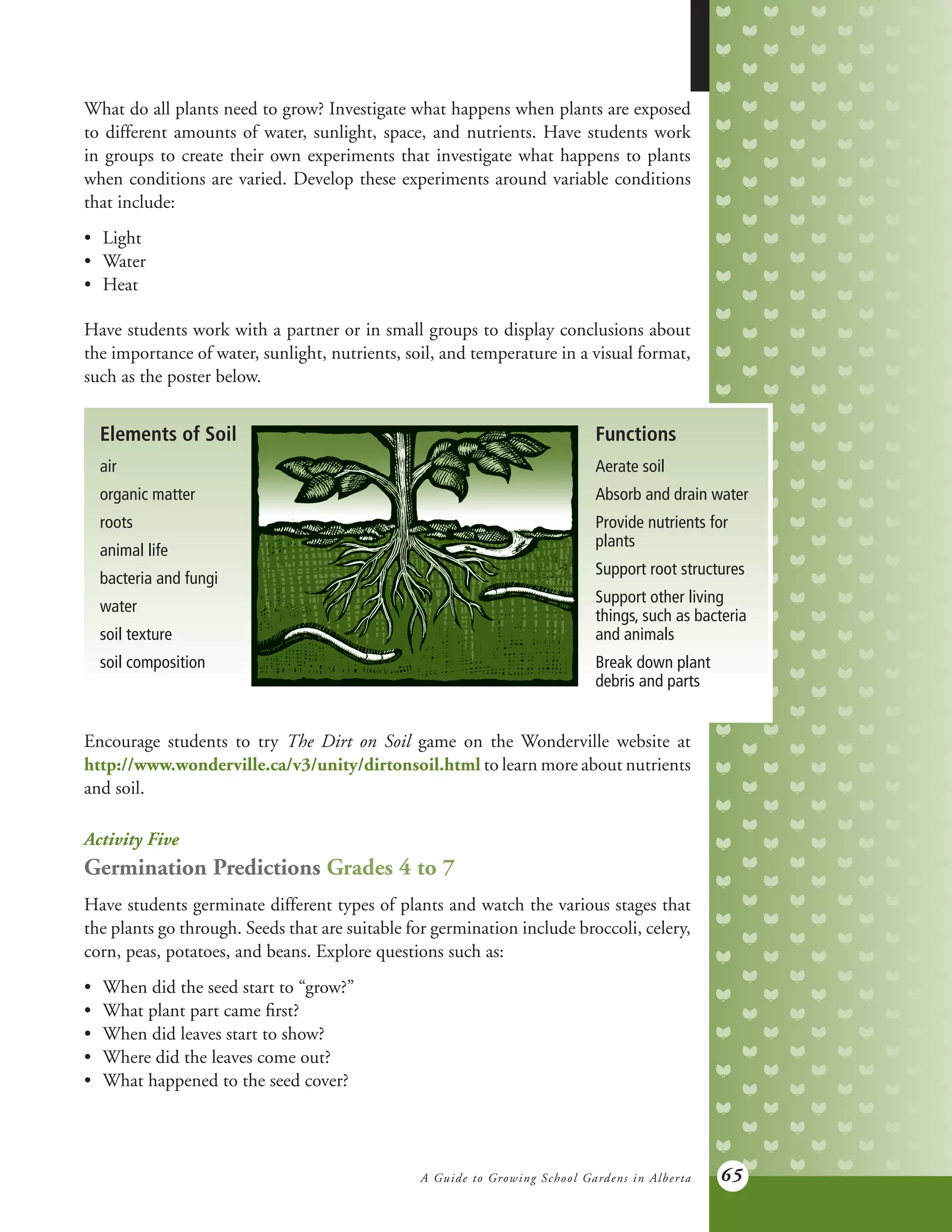 A Guide to Growing School Gardens in Alberta 65
What do all plants need to grow? Investigate what happens when plants are exposed
to different amounts of water, sunlight, space, and nutrients. Have students work
in groups to create their own experiments that investigate what happens to plants
when conditions are varied. Develop these experiments around variable conditions
that include:
•	 Light
•	 Water
•	 Heat
Have students work with a partner or in small groups to display conclusions about
the importance of water, sunlight, nutrients, soil, and temperature in a visual format,
such as the poster below.
Elements of Soil
air
organic matter
roots
animal life
bacteria and fungi
water
soil texture
soil composition
Functions
Aerate soil
Absorb and drain water
Provide nutrients for
plants
Support root structures
Support other living
things, such as bacteria
and animals
Break down plant
debris and parts
Encourage students to try The Dirt on Soil game on the Wonderville website at
http://www.wonderville.ca/v3/unity/dirtonsoil.html to learn more about nutrients
and soil.
Activity Five
Germination Predictions Grades 4 to 7
Have students germinate different types of plants and watch the various stages that
the plants go through. Seeds that are suitable for germination include broccoli, celery,
corn, peas, potatoes, and beans. Explore questions such as:
•	 When did the seed start to “grow?”
•	 What plant part came first?
•	 When did leaves start to show?
•	 Where did the leaves come out?
•	 What happened to the seed cover?
 