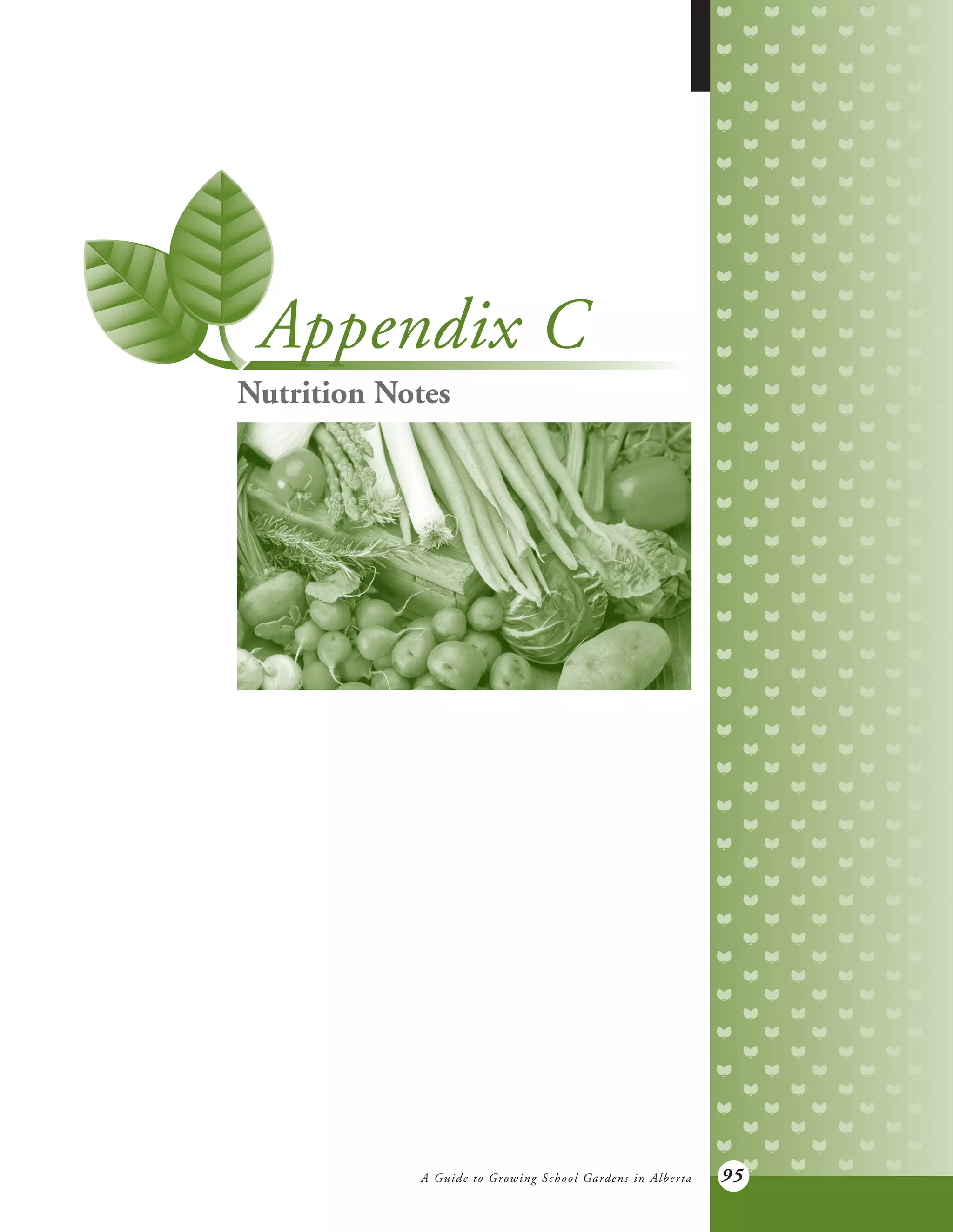A Guide to Growing School Gardens in Alberta 95
Appendix C
Nutrition Notes
 