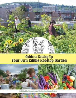 Guide to Setting Up
Your Own Edible Rooftop Garden
Published by Alternatives and the Rooftop Garden Project
 