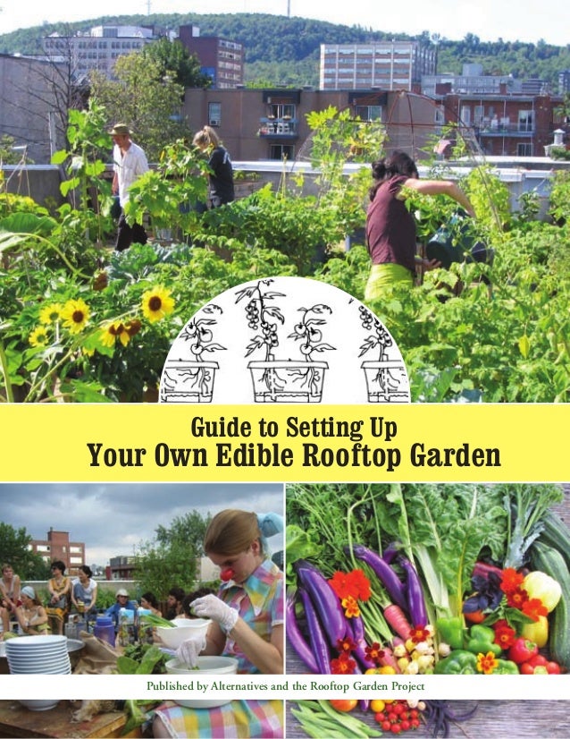 Guide To Setting Up Your Own Edible Rooftop Garden