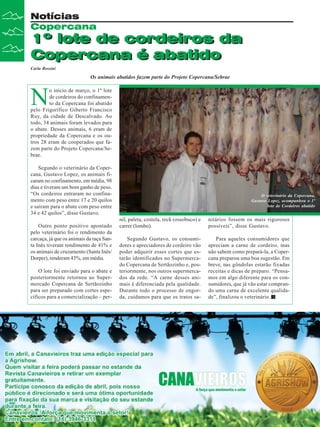 Notícias
Copercana

1º lote de cordeiros da
Copercana é abatido
Carla Rossini

Os animais abatidos fazem parte do Projeto Copercana/Sebrae

N

o início de março, o 1º lote
de cordeiros do confinamento da Copercana foi abatido
pelo Frigorífico Giberto Francisco
Ruy, da cidade de Descalvado. Ao
todo, 34 animais foram levados para
o abate. Desses animais, 6 eram de
propriedade da Copercana e os outros 28 eram de cooperados que fazem parte do Projeto Copercana/Sebrae.
Segundo o veterinário da Copercana, Gustavo Lopez, os animais ficaram no confinamento, em média, 98
dias e tiveram um bom ganho de peso.
“Os cordeiros entraram no confinamento com peso entre 17 e 20 quilos
e saíram para o abate com peso entre
34 e 42 quilos”, disse Gustavo.
Outro ponto positivo apontado
pelo veterinário foi o rendimento da
carcaça, já que os animais da raça Santa Inês tiveram rendimento de 41% e
os animais de cruzamento (Santa Inês/
Dorper), renderam 43%, em média.
O lote foi enviado para o abate e
posteriormente retornou ao Supermercado Copercana de Sertãozinho
para ser preparado com cortes específicos para a comercialização – per-

10

Revista Canavieiros - Março de 2010

O veterinário da Copercana,
Gustavo Lopez, acompanhou o 1º
lote de Cordeiros abatido

nil, paleta, costela, reck (ossobuco) e
carrer (lombo).

nitários fossem os mais rigorosos
possíveis”, disse Gustavo.

Segundo Gustavo, os consumidores e apreciadores de cordeiro vão
poder adquirir esses cortes que estarão identificados no Supermercado Copercana de Sertãozinho e, posteriormente, nos outros supermercados da rede. “A carne desses animais é diferenciada pela qualidade.
Durante todo o processo de engorda, cuidamos para que os tratos sa-

Para aqueles consumidores que
apreciam a carne de cordeiro, mas
não sabem como prepará-la, a Copercana preparou uma boa sugestão. Em
breve, nas gôndolas estarão fixadas
receitas e dicas de preparo. “Pensamos em algo diferente para os consumidores, que já vão estar comprando uma carne de excelente qualidade”, finalizou o veterinário.

 