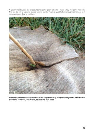 A great mulch to use is old carpet underlay as long as it is the type made solely of organic materials.
This can be cut to size and placed around plants. This is a great help in drought conditions as it
conserves every drop of moisture.
Note the excellent weed suppression of old carpet underlay. It is particularly useful for individual
plants like tomatoes, cucumbers, squash and fruit trees.
15
 