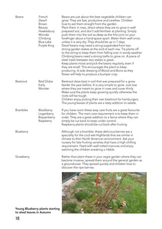 Beans	 French	 Beans are just about the best vegetable children can
	 Dwarf-	 grow. They are fast, productive and carefree. Children	
	 Brown	 love to eat them straight from the garden.
	 Beauty	 Plant them in rows, direct where they are to grow in well
	 Hawkesbury	 prepared soil, and don’t add fertiliser at planting. Simply
	 Wonder	 push them into the soil as deep as the first joint on your
	 Climbing	 forefinger about a hand space apart. Water them well once,
	 Blue Lake	 unless it is very dry. They should be up in 7 days.
	 Purple King	 Dwarf beans may need a string suspended from two
		 strong garden stakes at the end of each row. Tie plants off
		 to the string to keep them from falling over in windy weather.
		 Climbing beans need a strong trellis to grow on. A piece of
		 steel mesh between two stakes is great.
		 Keep plants moist and pick the beans regularly, even if
		 they are small. This encourages the plant to keep
		 producing. A side dressing of Blood and Bone as they
		 flower will help to produce a bumper crop.
Beetroot	 Red Globe	 Beetroot does best in soil that was prepared for a gross
	 Early	 feeder the year before. It is very simple to grow. Just sow
	 Wonder	 where they are meant to grow in rows and cover thinly.
		 Make sure the plants keep growing quickly otherwise the
		 roots will be tough.
		 Children enjoy picking their own beetroot for hamburgers.
		 The young leaves of plants are a tasty addition to salads.
Brambles	 Blackberry	 If you have room these easy care fruits are a great favourite
	 Loganberry	 for children. The main care requirement is to keep them in
	 Boysenberry	 order. They are a great addition to a fence where they can
	 Raspberry	 simply be cut back to keep under control.
		 Raspberry plants should be cut back after fruiting.
Blueberry		 Although not a bramble, these delicious berries are a
		 speciality for the cool wet Highlands that are similar in
		 climate to their North American environment. Ask your
		 nursery for late fruiting varieties that have a high chilling
		 requirement. Feed with well rotted manures and enjoy
		 watching the children sneaking a nibble.
Strawberry		 Rather than plant these in your vegie garden where they can
		 become invasive, spread them around the general garden as
		 a groundcover. They spread quickly and children love to
		 discover the ripe berries.
Young Blueberry plants starting
to shed leaves in Autumn
18
 