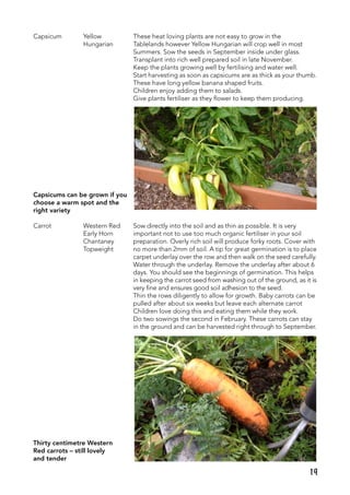 Capsicum	 Yellow	 These heat loving plants are not easy to grow in the
	 Hungarian	 Tablelands however Yellow Hungarian will crop well in most
		 Summers. Sow the seeds in September inside under glass.
		 Transplant into rich well prepared soil in late November.
		 Keep the plants growing well by fertilising and water well.
		 Start harvesting as soon as capsicums are as thick as your thumb.
		 These have long yellow banana shaped fruits.
		 Children enjoy adding them to salads.
		 Give plants fertiliser as they flower to keep them producing.
Capsicums can be grown if you
choose a warm spot and the
right variety
Carrot	 Western Red	 Sow directly into the soil and as thin as possible. It is very
	 Early Horn	 important not to use too much organic fertiliser in your soil
	 Chantaney	 preparation. Overly rich soil will produce forky roots. Cover with
	 Topweight	 no more than 2mm of soil. A tip for great germination is to place
		 carpet underlay over the row and then walk on the seed carefully.
		 Water through the underlay. Remove the underlay after about 6
		 days. You should see the beginnings of germination. This helps
		 in keeping the carrot seed from washing out of the ground, as it is
		 very fine and ensures good soil adhesion to the seed.
		 Thin the rows diligently to allow for growth. Baby carrots can be
		 pulled after about six weeks but leave each alternate carrot
		 Children love doing this and eating them while they work.
		 Do two sowings the second in February. These carrots can stay
		 in the ground and can be harvested right through to September.
Thirty centimetre Western
Red carrots – still lovely
and tender
19
 