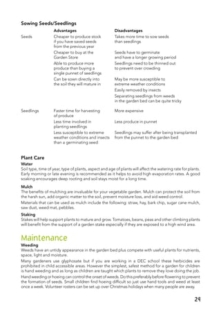 Sowing Seeds/Seedlings
	 Advantages	 Disadvantages
Seeds	 Cheaper to produce stock	 Takes more time to sow seeds
	 if you have saved seeds	 than seedlings
	 from the previous year
	 Cheaper to buy at the	 Seeds have to germinate
	 Garden Store	 and have a longer growing period
	 Able to produce more	 Seedlings need to be thinned out	
	 produce than buying a	 to prevent over crowding	
	 single punnet of seedlings
	 Can be sown directly into	 May be more susceptible to
	 the soil they will mature in	 extreme weather conditions
		 Easily removed by insects
		 Separating seedlings from weeds
		 in the garden bed can be quite tricky
Seedlings	 Faster time for harvesting	 More expensive
	 of produce
	 Less time involved in	 Less produce in punnet
	 planting seedlings
	 Less susceptible to extreme	 Seedlings may suffer after being transplanted
	 weather conditions and insects	 from the punnet to the garden bed
	 than a germinating seed
Plant Care
Water
Soil type, time of year, type of plants, aspect and age of plants will affect the watering rate for plants.
Early morning or late evening is recommended as it helps to avoid high evaporation rates. A good
soaking encourages deep rooting and soil stays moist for a long time.
Mulch
The benefits of mulching are invaluable for your vegetable garden. Mulch can protect the soil from
the harsh sun, add organic matter to the soil, prevent moisture loss, and aid weed control.
Materials that can be used as mulch include the following: straw, hay, bark chip, sugar cane mulch,
saw dust, weed mat, pebbles.
Staking
Stakes will help support plants to mature and grow. Tomatoes, beans, peas and other climbing plants
will benefit from the support of a garden stake especially if they are exposed to a high wind area.
Maintenance
Weeding
Weeds have an untidy appearance in the garden bed plus compete with useful plants for nutrients,
space, light and moisture.
Many gardeners use glyphosate but if you are working in a DEC school these herbicides are
prohibited in child accessible areas. However the simplest, safest method for a garden for children
is hand weeding and as long as children are taught which plants to remove they love doing the job.
Hand weeding or hoeing can control the onset of weeds. Do this preferably before flowering to prevent
the formation of seeds. Small children find hoeing difficult so just use hand tools and weed at least
once a week. Volunteer rosters can be set up over Christmas holidays when many people are away.
 
29
 