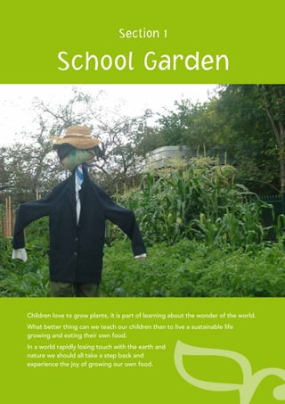 Children love to grow plants, it is part of learning about the wonder of the world.
What better thing can we teach our children than to live a sustainable life
growing and eating their own food.
In a world rapidly losing touch with the earth and
nature we should all take a step back and
experience the joy of growing our own food.
Section 1
School Garden
 