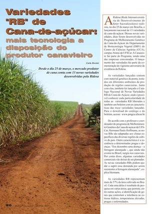 Variedades
"RB" de
Cana-de-açúcar:
mais tecnologia a
disposição do
produtor canavieiro

Carla Rossini

Desde o dia 25 de março, o mercado produtor
de cana conta com 13 novas variedades
desenvolvidas pela Ridesa

A

Ridesa (Rede Interuniversitária de Desenvolvimento do
Setor Sucroalcooleiro) realizou, no dia 25 de março em Brasília, o
lançamento nacional de 13 variedades
de cana-de-açúcar. Dessas novas variedades, duas foram desenvolvidas no
Programa de Melhoramento Genético
da Cana-de-Açúcar do Departamento
de Biotecnologia Vegetal (DBV) do
Centro de Ciências Agrárias (CCA),
campus Araras da UFSCar. A Canaoeste faz parte do Programa, sendo uma
das empresas conveniadas. O lançamento das variedades faz parte da comemoração do vigésimo aniversário de
existência da Ridesa.
As variedades lançadas contam
com material genético de ponta, testados em diferentes ambientes de produção de regiões canavieiras. Junto
com elas, também foi lançado o Catálogo Nacional de Novas Variedades
RB de Cana-de-Açúcar, onde é possível conhecer cada particularidade de
todas as variedades RB liberadas e
também um boletim com as características das treze variedades lançadas.
Para o download do catálogo e do
boletim, acesse: www.pmgca.ufscar.br
De acordo com o professor e coordenador do programa de Melhoramento Genético da Cana-de-açúcar da UFSCar, Hermann Paulo Hoffmann, as novas RBs são adaptadas aos climas específicos das diversas regiões de cultivo do país. Outra característica é a resistência a determinadas pragas e doenças. “Em dezembro uma doença – a
ferrugem alaranjada -, que ainda não
existia no Brasil, surgiu nos canaviais.
Por conta disso, algumas variedades
comerciais vão deixar de ser plantadas.
As novas variedades RBs podem ajudar a suprir essa demanda por serem
resistentes a ferrugem alaranjada”, explica Hermann.
As variedades RB representam
mais de 57% da área cultivada no Brasil. Cada uma delas é resultado de pesquisa em várias áreas, que permite, entre outras ações, a identificação de genes que controlam a tolerância ao estresse hídrico, temperaturas elevadas,
pragas e enfermidades.

20

Revista Canavieiros - Abril de 2010

 