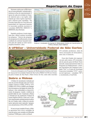 Reportagem de Capa
Hermann explica que as RBs lançadas já foram plantadas, multiplicadas e
entraram na fase de experimentação. E
apesar de cada universidade ter lançado materiais para a sua região, nada
impede que outras regiões experimentem e utilizem essas variedades. “Na
Fazenda Santa Rita em Terra Roxa de
propriedade da Copercana/Canaoeste
os associados poderão encontrar as
variedades RB965902, RB965917 e
RB966928, disse Hermann.
Segundo o professor, é muito importante que o Brasil continue investindo
em pesquisas. “Através das pesquisas
dos programas de melhoramento, temos
condições de continuar lançando materiais para dar suporte ao setor sucroenergético brasileiro”, disse.

Professor e coordenador do programa de Melhoramento Genético da Cana-de-açúcar da
UFSCar, Hermann Paulo Hoffmann

A UFSCar – Universidade Federal de São Carlos
Foto retirada do Catálogo Nacional de Novas
Variedades RB de Cana-de-Açúcar

A área de abrangência do Programa de Melhoramento Genético da Canade-Açúcar da Universidade Federal de São Carlos (PMGCA/UFSCar) é formada pelos Estados de São Paulo e Mato Grosso do Sul, onde estão inseridas

254 unidades produtoras, além de
várias associações de fornecedores,
entre elas a Canaoeste.
Esses dois Estados são responsáveis por, pelo menos, 65% da produção de cana-de-açúcar do Brasil. Neste
mercado, atuam intensamente todos os
Programas de Melhoramento: o Instituto Agronômico de Campinas (variedades “IAC”), o Centro de Tecnologia
Canavieira (variedades “CTC”, sucessor da Copersucar – variedades “SP”)
e, recentemente, a CanaVialis.

Sobre a Ridesa
A Ridesa foi inicialmente instituída por
meio de convênio firmado entre sete Universidades Federais (UFPR, UFSCar, UFV,
UFRRJ, UFS, UFAL e UFRPE) com a finalidade de incorporar as atividades do extinto Planalsucar e dar continuidade ao desenvolvimento de pesquisas visando a melhoria da
produtividade do setor. Atualmente a Ridesa
é formada por dez Instituições Federais de
Ensino Superior (IFES) e conta com 31 estações experimentais estrategicamente localizadas nos Estados onde a cultura da cana-deaçúcar apresenta maior expressão. Agregouse as sete primeiras a UFG, UFPI e a UFMT.
No ano em que completa 20 anos, a Ridesa apresentou treze novas variedades de
cana-de-açúcar, que somadas as já liberadas
totalizam 78 RBs para o cultivo no Brasil.
Revista Canavieiros - Abril de 2010

21

 