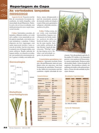 Reportagem de Capa
As variedades lançadas
RB965902
Aspecto Geral: Touceira com hábito de crescimento levemente decumbente, de média despalha e alta
intensidade de perfilhamento. Palmito curto, de cor roxa esverdeada, com
média presença de cera e seção transversal circular.
Colmo: Internódios conoidais, de
tamanho e diâmetro médios, cor verde
sob a palha e roxa amarelada ao sol,
de aspecto manchado, com muita cera,
sem rachaduras e canaletas. Colmos
dispostos em leve ziguezague, com
seção transversal circular e zona cerosa do nó nítida. Anel de crescimento amarelo roxo, de largura média, com
muita saliência. Região radicular de
largura média, cor amarela esverdeada, com ausência de enraizamento aéreo. A gema é ovalada, com média sali-

Genealogia

Detalhes
morfológicos

22

Revista Canavieiros - Abril de 2010

ência, nunca ultrapassando o
anel de crescimento, possuindo inserção média em relação à
cicatriz foliar, poro germinativo
subapical, almofada estreita e
ausência de pêlos.
Folha: Folhas eretas, de
cor verde, com tonalidade
intermediária, largura e serrilhamento de bordo médios, ausência de pêlos no
bordo do limbo, com volume da copa regular. Aurícula média, unilateral, do
tipo falcada. Lígula do tipo
crescente. “Dewlap” roxo,
do tipo degrau curvo. Bainhas com pilosidade regular, de posição dorsal.
Características agronômicas e tecnológicas: Apresenta excelente brotação e alto perfilhamento, tanto em canaplanta como em cana-soca, com bom
fechamento de entrelinhas. Possui porte alto, hábito de crescimento semi-decumbente e rápida velocidade de cres-

cimento. Tem alta produção agrícola, fibra média, PUI médio e é de maturação
precoce, com ausência de florescimento e pouca isoporização. Destaca-se pela
alta produtividade e ótima brotação de
soqueiras. Recomenda-se plantio em
ambientes de médio a alto potencial produtivo. Possui elevada sanidade às principais doenças.

 