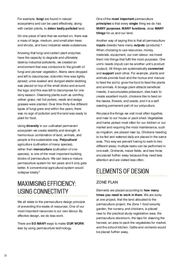 Example Of A College Essay Paper Sample English Essays also Synthesis Essay Tips Setting Up African Permaculture School Gardens Become A Business Plan Writer