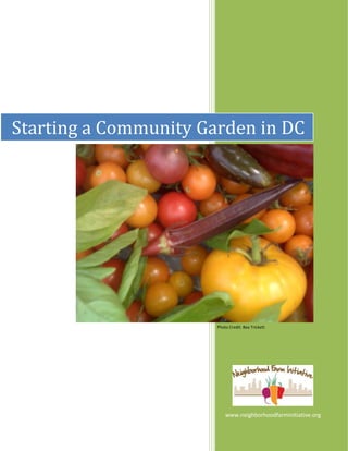 www.neighborhoodfarminitiative.org
Starting a Community Garden in DC
Photo Credit: Bea Trickett
 