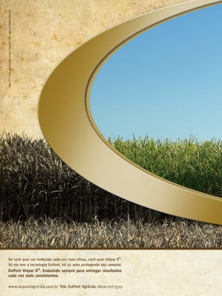 16

Revista Canavieiros - Junho de 2010

 