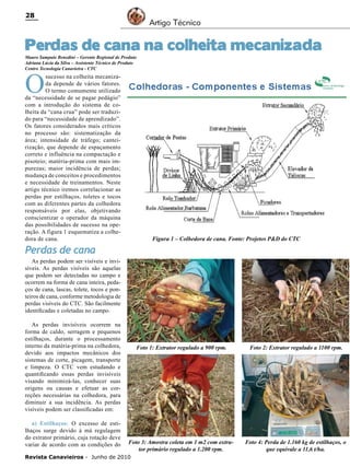 28

Artigo Técnico

Perdas de cana na colheita mecanizada
Mauro Sampaio Benedini – Gerente Regional de Produto
Adriana Lúcia da Silva – Assistente Técnico de Produto
Centro Tecnologia Canavieira - CTC

O

sucesso na colheita mecanizada depende de vários fatores.
O termo comumente utilizado
da “necessidade de se pagar pedágio”
com a introdução do sistema de colheita da “cana crua” pode ser traduzido para “necessidade de aprendizado”.
Os fatores considerados mais críticos
no processo são: sistematização da
área; intensidade de tráfego; canteirização, que depende de espaçamento
correto e influência na compactação e
pisoteio; matéria-prima com mais impurezas; maior incidência de perdas;
mudança de conceitos e procedimentos
e necessidade de treinamentos. Neste
artigo técnico iremos correlacionar as
perdas por estilhaços, toletes e tocos
com as diferentes partes da colhedora
responsáveis por elas, objetivando
conscientizar o operador da máquina
das possibilidades de sucesso na operação. A figura 1 esquematiza a colhedora de cana.

Figura 1 – Colhedora de cana. Fonte: Projetos P&D do CTC

Perdas de cana
As perdas podem ser visíveis e invisíveis. As perdas visíveis são aquelas
que podem ser detectadas no campo e
ocorrem na forma de cana inteira, pedaços de cana, lascas, tolete, tocos e ponteiros de cana, conforme metodologia de
perdas visíveis do CTC. São facilmente
identificadas e coletadas no campo.
As perdas invisíveis ocorrem na
forma de caldo, serragem e pequenos
estilhaços, durante o processamento
interno da matéria-prima na colhedora,
devido aos impactos mecânicos dos
sistemas de corte, picagem, transporte
e limpeza. O CTC vem estudando e
quantificando essas perdas invisíveis
visando minimizá-las, conhecer suas
origens ou causas e efetuar as correções necessárias na colhedora, para
diminuir a sua incidência. As perdas
visíveis podem ser classificadas em:
a) Estilhaços: O excesso de estilhaços surge devido à má regulagem
do extrator primário, cuja rotação deve
variar de acordo com as condições do

Foto 1: Extrator regulado a 900 rpm.

Foto 2: Extrator regulado a 1100 rpm.

Foto 3: Amostra coleta em 1 m2 com extrator primário regulado a 1.200 rpm.

Foto 4: Perda de 1.160 kg de estilhaços, o
que equivale a 11,6 t/ha.

Revista Canavieiros - Junho de 2010

 