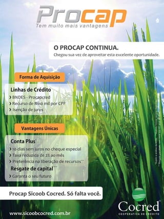 40

Revista Canavieiros - Setembro de 2010

 