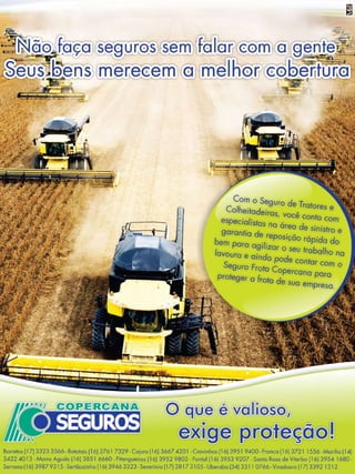 9

Revista Canavieiros - Setembro de 2010

 