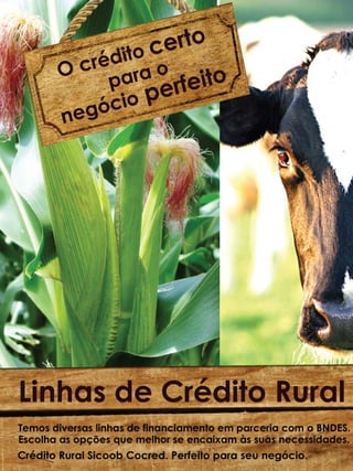 16

Revista Canavieiros - Novembro de 2010

 