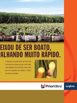 21

Revista Canavieiros - Dezembro de 2010

 