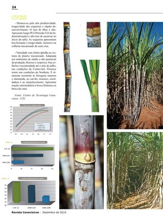24

CTC22
- Destaca-se pela alta produtividade,
longevidade das soqueiras e rápido desenvolvimento. O teor de fibra é alto.
Apresenta longo PUI (Período Útil de Industrialização) e alto teor de sacarose no
início da safra. As soqueiras apresentam
boa brotação e longevidade, inclusive na
colheita mecanizada de cana crua.
- Variedade com ótima aptidão ao sistema de plantio mecanizado. Adaptada
aos ambientes de médio a alto potencial
de produção, floresce e isoporiza. Sua colheita é recomendada até o mês de julho,
nas condições do Centro-Sul. Floresce
muito nas condições do Nordeste. É altamente resistente às ferrugens marrom
e alaranjada, ao carvão, mosaico, escaldadura e ao amarelecimento. Apresenta
reação intermediária à broca Diatraea ou
broca da cana.
Fonte: Centro de Tecnologia Canavieira - CTC 

Revista Canavieiros - Dezembro de 2010

 