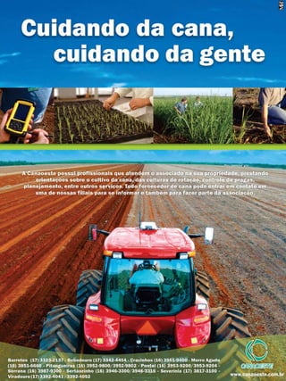 31

Revista Canavieiros - Dezembro de 2010

 