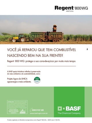 13

Revista Canavieiros - Janeiro 2011

 