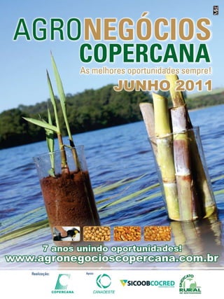 36

Revista Canavieiros - Janeiro de 2011

 