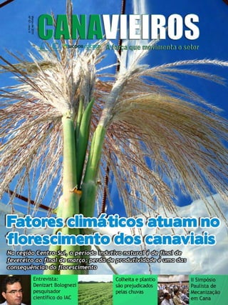1

Revista Canavieiros - Março 2011

 