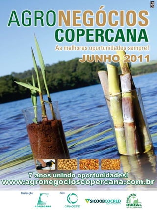 36

Revista Canavieiros - Março de 2011

 