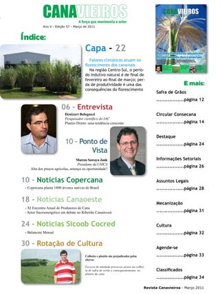 5

Ano V - Edição 57 - Março de 2011

Índice:

Capa - 22
Fatores climáticos atuam no
florescimento dos canaviais
Na região Centro-Sul, o período indutivo natural é de final de
fevereiro ao final de março; perda de produtividade é uma das
consequências do florescimento

E mais:
Safra de Grãos
.................página 12

06 - Entrevista

Circular Consecana

Denizart Bolognezi
Pesquisador científico do IAC
Plantio Direto: uma tendência crescente

.................página 14
Destaque

10 - Ponto de
Vista

.................página 24
Informações Setoriais

Marcos Sawaya Jank
Presidente da UNICA
Alta dos preços agrícolas, ameaça ou oportunidade?

.................página 26

10 - Notícias Copercana

Assuntos Legais

- Copercana planta 1800 árvores nativas do Brasil

.................página 28

18 - Notícias Canaoeste

Mecanização

- XI Encontro Anual de Produtores de Cana
- Setor Sucroenergético em debate no Ribeirão Canainvest

.................página 31

24 - Notícias Sicoob Cocred

Cultura

- Balancete Mensal

.................página 32

30 - Rotação de Cultura

Agende-se
.................página 33

Colheita e plantio são prejudicados pelas
chuvas
Excesso de umidade provocou atraso na colheita de safra de verão e consequentemente, no
plantio de cana

Classificados
.................página 34

Revista Canavieiros - Março 2011

 