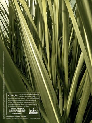 22

Revista Canavieiros - Junho de 2011

 