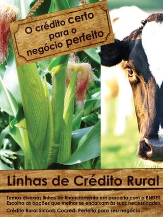 2

Revista Canavieiros - Julho de 2011

 