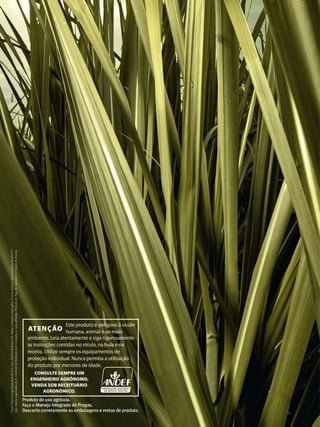 20

Revista Canavieiros - Julho de 2011

 