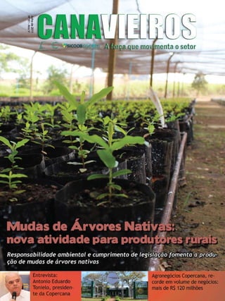 1

Revista Canavieiros - Julho 2011

 