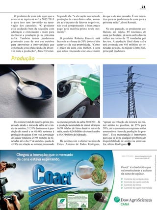 21
O produtor de cana não quer que o
cenário se repita na safra 2012/2013
e para isso tem investido na renovação dos canaviais. “O produtor
está cuidando bem da soqueira com
adubação e eliminando o mato para
melhorar a produção já na próxima
safra. Também temos produtores
plantando cana de ano em outubro
para aproveitar a oportunidade que
o mercado está oferecendo de absorver toda a produção”, disse Ortolan.

Segundo ele, “a elevação no custo de
produção de cana desta safra, somado ao conjunto de fatores negativos,
não está compensando o bom preço
pago pela matéria-prima neste momento”.
O produtor Roberto Rossetti está
fazendo a reforma de 20% do total dos
canaviais da sua propriedade. “Como
o preço da cana está melhor, a área
que estou renovando este ano é maior

do que a do ano passado. É um incentivo para os produtores de cana para a
próxima safra”, disse Rosseti.
No ano passado, os produtores colheram, em média, 89 toneladas de
cana por hectare, já nesta safra devem
colher em torno de 72 toneladas por
hectare. A produção final desta safra
está estimada em 480 milhões de toneladas de cana, na região Centro-Sul,
principal produtora.

Produção

Do volume total de matéria-prima processado desde o início da safra até o início de outubro, 51,51% destinou-se à produção de etanol e os 48,49% restantes à
produção de açúcar. Com isso, a produção
de açúcar totalizou 25,98 milhões de toneladas até o dia 1º de outubro, queda de
4,19% em relação ao volume processado

no mesmo período da safra 2010/2011. Já
a produção acumulada de etanol alcançou
16,99 bilhões de litros desde o início da
safra, sendo 6,56 bilhões de etanol anidro
e 10,43 bilhões de hidratado.
De acordo com o diretor técnico da
Unica, Antonio de Padua Rodrigues,

“apesar da redução da mistura do etanol anidro na gasolina, de 25% para
20%, até o momento as empresas estão
mantendo o ritmo de produção do produto”. Essa manutenção é importante
para que se evite qualquer problema de
disponibilidade de anidro na entressafra, afirma Rodrigues. RC

Revista Canavieiros - Outubro 2011

 