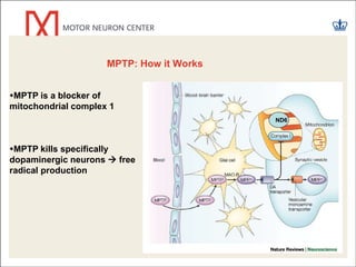 Jonathan's Summer Internship Presentation.pptx FINAL copy | PPT