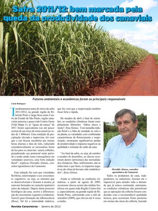 Safra 2011/12: bem marcada pela
queda da produtividade dos canaviais
20

Fatores ambientais e econômicos foram os principais responsáveis
Carla Rodrigues

I

“

mediatamente antes do início da safra
2011/2012, na grande região de Ribeirão Preto e larga faixa entre Centro do Estado de São Paulo, região canavieira mineira e quase todo Centro Oeste
(Vide Mapa 1), as ”águas de março” de
2011 foram equivalentes (ou até pouco
acima) de um terço da soma anual (ao redor de 1.400mm). Esta condição de precipitação elevada e imprevista, fez com
que o céu ficasse encoberto por muitas
horas diurnas e dias do mês, reduzindo
consideravelmente as necessárias horas
de luz para os canaviais serem colhidos,
prejudicando seu potencial neste período e tendo ainda como consequência em
variedades sensíveis, uma forte indução
floral”, explicou Oswaldo Alonso, consultor agronômico da Canaoeste.
Esta indução faz com que variedades
floríferas, interrompam o seu crescimento vegetativo, ou seja, os entrenós que
se desenvolveram e ficaram à mostra, já
estavam formados no cartucho (palmito)
antes da indução. Depois deste processo
fisiológico da cana, ocorre a diferenciação de crescimento vegetativo (industrializável) para formação da inflorescência
(flexa). Tal foi a intensidade indutiva,

que fez com que a isoporização também
fosse forte e rápida.
De meados de abril a final de setembro, as condições climáticas foram completamente diferentes: “faltou chuva e
muita”, frisa Alonso. Com tamanha indução floral e a falta de umidade no solo e
na planta, as variedades com combinadas
características de florescimento e isoporização, mostraram significativas perdas
de produtividade e impactos negativos na
qualidade e extração do caldo da cana.
“Ao final da safra, ou seja, de outubro
a meados de dezembro, as chuvas ocorreram dentro (próximas) das normalidades climáticas. Mas, infelizmente, não se
tinha mais o que fazer, os impactos negativos do clima já haviam sido estabelecidos”, disse Alonso.
Ainda se referindo às condições climáticas, a partir de agosto de 2009,
ocorreram chuvas acima das médias históricas em quase toda Região Centro-Sul
e, especialmente, na grande região de Ribeirão Preto, culminando com o mês de
setembro (2009), que choveu até 4 vezes
a média.

Revista Canavieiros - Janeiro de 2012

Oswaldo Alonso, consultor
agronômico da Canaoeste

Todos os produtores de cana, independentes ou industriais, fizeram até o
impossível para atender toda a demanda que já estava contratada, entretanto,
as condições climáticas não permitiram
que as operações de colheita fossem conduzidas com a recomendável qualidade
técnica, pois ocorreram fortes pisoteios
em muitas das áreas de colheita, fazendo

 