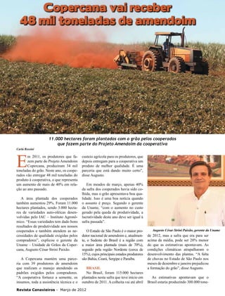 20

Copercana vai receber
48 mil toneladas de amendoim

11.000 hectares foram plantados com o grão pelos cooperados
que fazem parte do Projeto Amendoim da cooperativa
Carla Rossini

E

m 2011, os produtores que fazem parte do Projeto Amendoim
Copercana, produziram 34 mil
toneladas do grão. Neste ano, os cooperados vão entregar 48 mil toneladas do
produto à cooperativa, o que representa
um aumento de mais de 40% em relação ao ano passado.
A área plantada dos cooperados
também aumentou 29%. Foram 11.000
hectares plantados, sendo 3.000 hectares de variedades auto-oléicas desenvolvidas pelo IAC – Instituto Agronômico. “Essas variedades tem dado bons
resultados de produtividade aos nossos
cooperados e também atendem as necessidades de qualidade exigidas pelos
compradores”, explicou o gerente da
Uname – Unidade de Grãos da Copercana, Augusto César Strini Paixão.
A Copercana mantém uma parceria com 39 produtores de amendoim
que realizam o manejo atendendo os
padrões exigidos pelos compradores.
“A cooperativa fornece a semente, os
insumos, toda a assistência técnica e o

custeio agrícola para os produtores, que
depois entregam para a cooperativa um
produto de melhor qualidade. É uma
parceria que está dando muito certo”,
disse Augusto.
Em meados de março, apenas 40%
da safra dos cooperados havia sido colhida, mas o grão apresentava boa qualidade. Isso é uma boa notícia quando
o assunto é preço. Segundo o gerente
da Uname, “com o aumento no custo
gerado pela queda de produtividade, a
lucratividade deste ano deve ser igual à
safra passada”.
O Estado de São Paulo é o maior produtor nacional de amendoim e, atualmente, o Sudeste do Brasil é a região com
a maior área plantada (mais de 70%),
seguido pela região Nordeste (cerca de
15%), cujos principais estados produtores
são Bahia, Ceará, Sergipe e Paraíba.
Brasil
No Brasil, foram 115.000 hectares
plantados nesta safra que teve início em
outubro de 2011. A colheita vai até abril

Revista Canavieiros - Março de 2012

Augusto César Strini Paixão, gerente da Uname

de 2012, mas a safra que era para ser
acima da média, pode ser 20% menor
do que as estimativas apontavam. As
condições climáticas atrapalharam o
desenvolvimento das plantas. “A falta
de chuvas no Estado de São Paulo nos
meses de dezembro e janeiro prejudicou
a formação do grão”, disse Augusto.
As estimativas apontavam que o
Brasil estaria produzindo 300.000 tone-

 