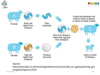 11/14/2015 11
Source:
http://www.bbc.co.uk/schools/gcsebitesize/science/add_ocr_gateway/living_gro
wing/cloningrev3.shtml
 