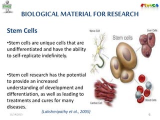 BIOLOGICAL MATERIAL FOR RESEARCH
11/14/2015 6
Stem Cells
•Stem cells are unique cells that are
undifferentiated and have the ability
to self-replicate indefinitely.
•Stem cell research has the potential
to provide an increased
understanding of development and
differentiation, as well as leading to
treatments and cures for many
diseases.
(Lakshmipathy et al., 2005)
 