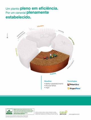 22

Revista Canavieiros - Maio de 2012

 