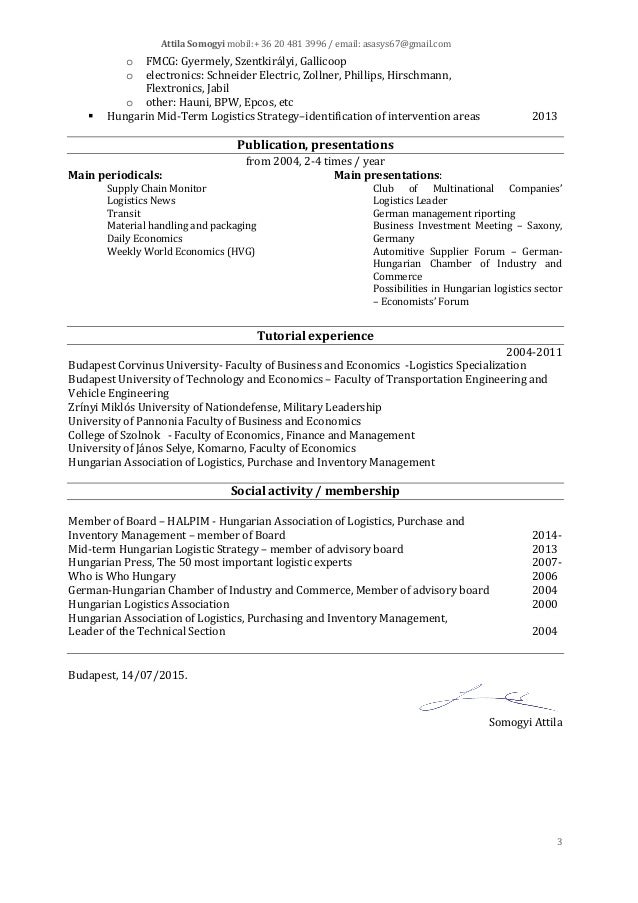 Somogyi Attila Cv En Modern