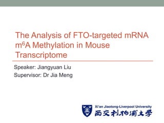 Speaker: Jiangyuan Liu
Supervisor: Dr Jia Meng
The Analysis of FTO-targeted mRNA
m6A Methylation in Mouse
Transcriptome
 