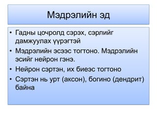 Мэдрэлийн эд
• Гадны цочролд сэрэх, сэрлийг
  дамжуулах үүрэгтэй
• Мэдрэлийн эсээс тогтоно. Мэдрэлийн
  эсийг нейрон гэнэ.
• Нейрон сэртэн, их биеэс тогтоно
• Сэртэн нь урт (аксон), богино (дендрит)
  байна
 